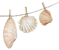 shellfish deco - 無料のアニメーション GIF