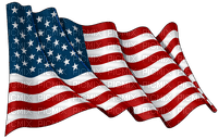 GIANNIS_TOUROUNTZAN - FLAG - AMERICA - kostenlos png