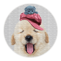 dog with cat bp - png gratuito
