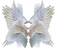 many wings - zdarma png