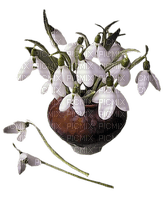 pot de fleurs - δωρεάν png
