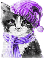 soave cat animals winter deco black white purple - kostenlos png