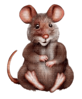 Kaz_Creations Rat-Mouse - bezmaksas png
