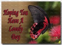 Have A Nice Day - Free PNG