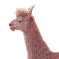 llama lama fun gif  chameaux pink kamele camels animal tube anime animated - GIF animado gratis