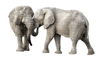 Kaz_Creations Elephants - безплатен png