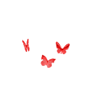 Butterflies, Butterfly, Insects, Insect - Jitter.Bug.Girl - GIF animasi gratis