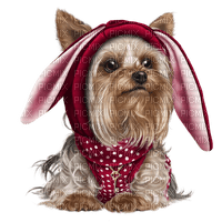 chien Yorkshire  gif animation adam64 - 無料png