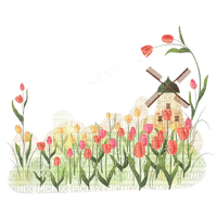 loly33 tulipe - PNG gratuit