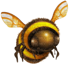bee - Free PNG