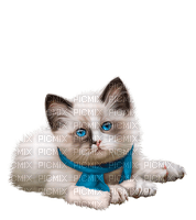 chat  idca - 免费PNG