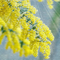 mimosen milla1959 - Безплатен анимиран GIF