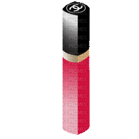 Makeup Chanel Lipstick  - Bogusia