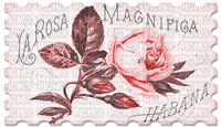 soave deco postcard vintage flowers rose pink - 免费PNG