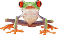Kaz_Creations Frog Toad - png gratis