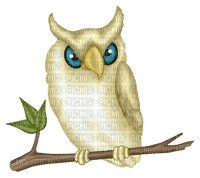 Kaz_Creations Owl Owls - nemokama png