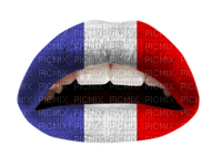 Kaz_Creations Lips French Colours - PNG gratuit