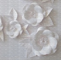 Background White Blossom - ilmainen png