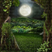 Y.A.M._Fantasy night moon background - PNG gratuit