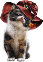 Kaz_Creations Halloween-Autumn-Cats-Cat-Kitten - png gratis