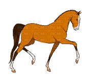 aze cheval marron Brown - Бесплатный анимированный гифка