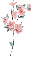 soave deco animated branch flowers spring - 免费动画 GIF