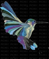hummingbird - фрее пнг