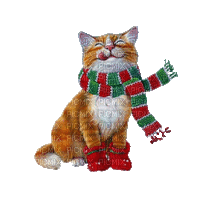 cat winter scarf  GIF chat hiver - GIF animé gratuit