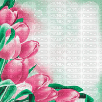 green pink tulpen milla1959 - GIF animé gratuit