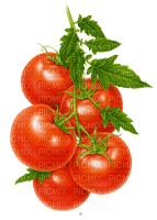 tomatoes Bb2 - kostenlos png