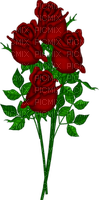 szép rózsa - PNG gratuit