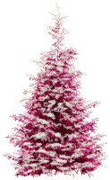 Winter.Tree.Pink.White - Free PNG