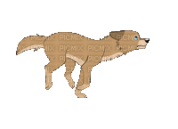 ani hund---dog - Ücretsiz animasyonlu GIF