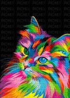 chat coloré - nemokama png