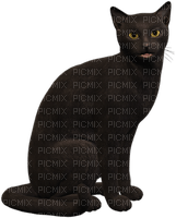 chat noir - kostenlos png