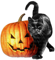 soave halloween deco animals pumpkin cat - besplatni png