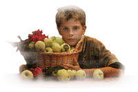 Kaz_Creations Baby Enfant Child Boy Basket Fruit Apples - gratis png