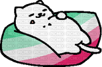 Abrosexual Tubbs the cat - bezmaksas png