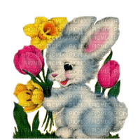 hare by nataliplus - png ฟรี