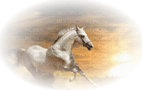 caballo - nemokama png