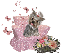 dolceluna spring dog pink butterflies chair - png grátis