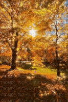 VanessaVallo _crea-animated fall tree - Gratis geanimeerde GIF