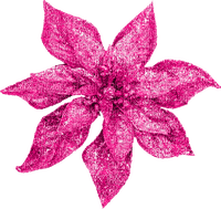 Christmas.Flower.Pink - png gratuito