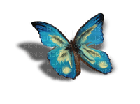 Kaz_Creations Deco Butterflies Butterfly   Colours - PNG gratuit