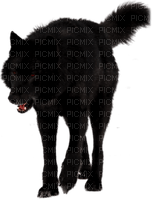 black wolf by nataliplus - Free PNG