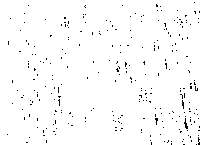 kadir - Animovaný GIF zadarmo