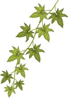 Kaz_Creations Deco Leaves Leafs - 免费PNG