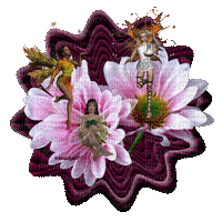 FAIRY FLOWERS - 無料のアニメーション GIF