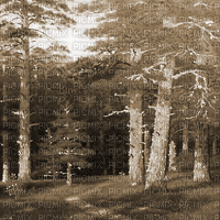 Y.A.M._Landscape forest background  sepia - Free animated GIF
