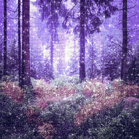 dolceluna animated purple forest - Δωρεάν κινούμενο GIF
